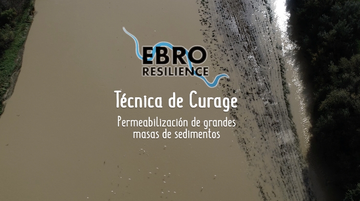 News image - Qué es un curage: permeabilización de masas de sedimentos vegetados